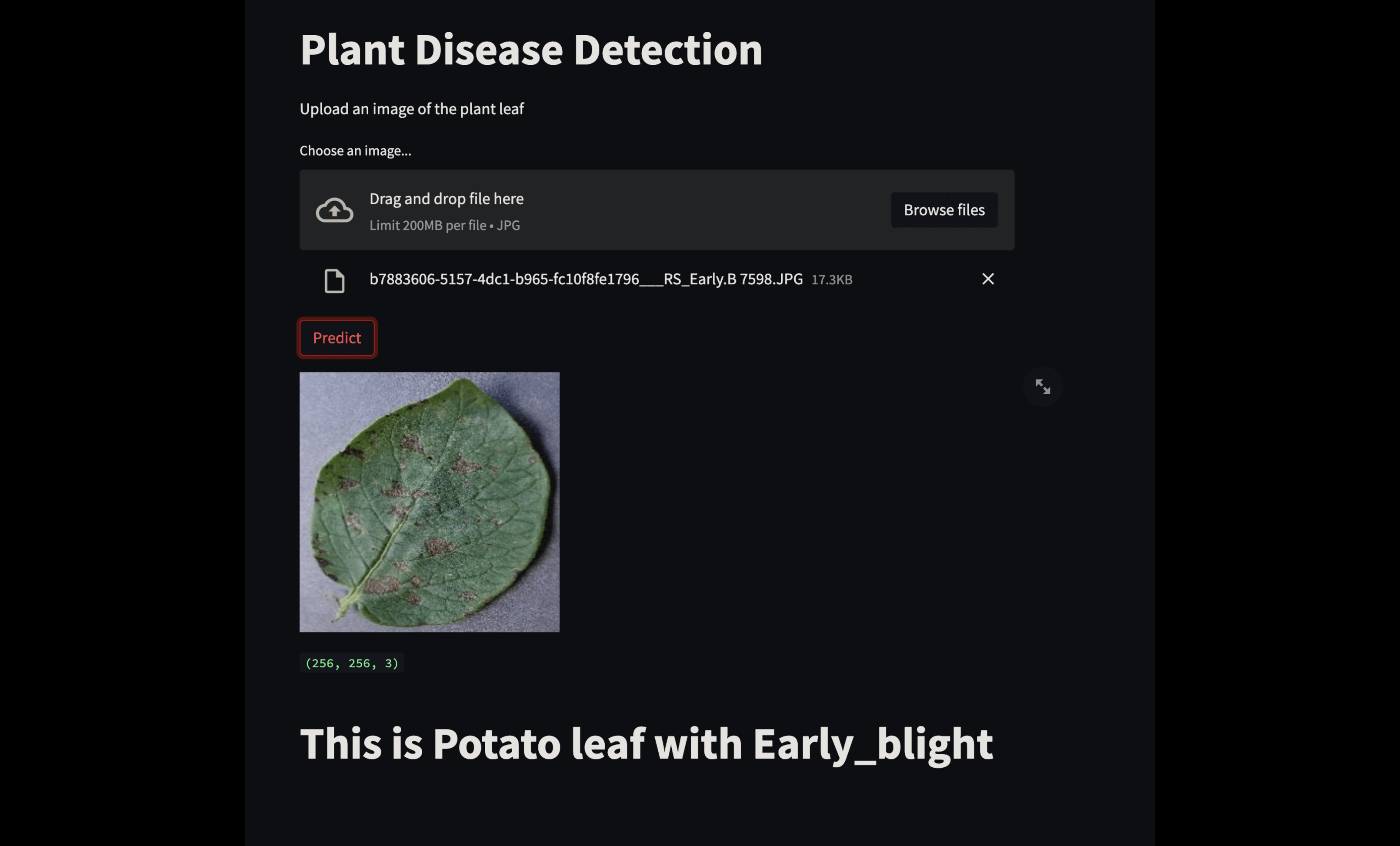 Plant Disease Detection